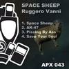 Space Sheep (Original Mix) - Ruggero Vanni