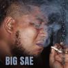 Fallen in Love(feat. Blad P2a & Karo) - Big Sae&Blad P2A&Karo