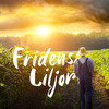 Fridens Liljor - Kass Humor