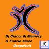 Grapefruit (Dj Alf Radio Edit) - Fonzie Ciaco&DJ Ciaco&DJ Memory&DJ Fonzies Choco