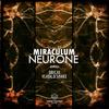 Neurone (Vlada D'Shake Stellar Mix) - MiraculuM