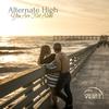 You Are Not Alone (Original Mix) - Alternate High