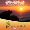 Galapagos (Chen Kai Bin Remix) - Andy Bianchini