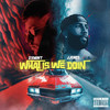 What Is We Doin (Explicit) - JJONES&2xMint