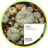 Organic - Krav