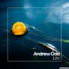 Darkness - Andrew Odd