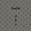 Come Back (Remix 1) - SKY
