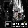 The Magic Jungle 432Hz (Original Mix) - Maurid
