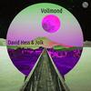 Vollmond (其他) - David Hess&Jolk