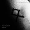 Into My Own(Album Version) - Montage Collective