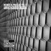 Platinum (Radion6 Remix) - Nenes&Pascal Feliz&Radion6