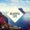 Beautiful Life - Lost Frequencies&Sandro Cavazza