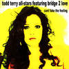 Can't Fake the Feeling (Tee's Dubdon Instrumental) - Todd Terry All Stars&Todd Terry&Bridge 2 Love