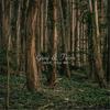 Give You Me - Grow&Twine