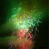 Neon in the Dark(feat. Stefan K) - Odd Cardinal&Stefan K