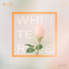 White Rose - Warmo