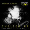 Shelter (Original Mix) - Sascha Sonido