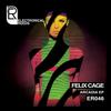 Arcadia (Original Mix) - Felix Cage