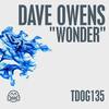 Wonder - Dave Owens