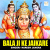 Bala Ji Ke Jaikare - Naresh Jangra