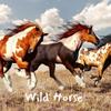 Live and Let Live - Bill Monroe and the Bluegrass Boys