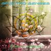 Om Shanti (Original Mix) - Spectro Senses