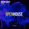 Shout (Radio Edit) - Brent Betit