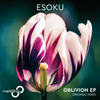 Oblivion (Original Mix) - eSoKu