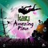 Every Joy It Brings(Salvation) (Album Version) - Karu&Hanna