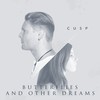 Butterflies and Other Dreams - cusp