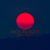 Moonlight - Bass Fly&Laurent L