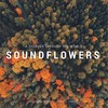 Nuit De Pluie - Soundflowers