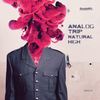 Natural High (Original Mix) - Analog Trip