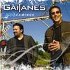 Tu ni te imaginas (Versión Salsa) - Gaitanes