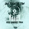 Savs From The Fam(feat. HGS Savage Fam & Stewie G) (Explicit) - Lil Jim&HGS Savage Fam&Stewie G