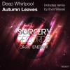 Autumn Leaves (Evol Waves Remix) - Deep Whirlpool