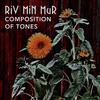 Riv Min Mur - Ulgebräk&Markus Åberg&Jan Bidner&Composition of tones