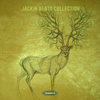 I Got It (Original Mix) - Nicola Grassetto
