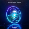Tomorrow (Original Mix) - Dr. Shiver&Galoski