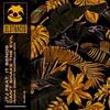 Can't Shake The Evil (Sacha Robotti Acappella Mix) - JTJ&It Bends&Sacha Robotti