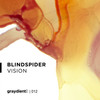 Vision (Extended Mix) - BlindSpider