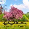 Give Me Your Space (Electron Project Remix) - Numall Fix&Elektor Project