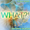 What?! (Original Mix) - Antonio Ocasio