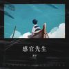 感官先生 (cover: 刘凤瑶) - 凛轩