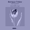 Toxic Light - Boriqua Tribez