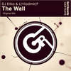 The Wall (Original Mix) - DJ Erika&L)Vladimir(P