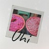 Uhi - Notokoyass