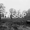 Hyssop - anna