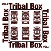 Bkas (Tribal Mix) - Matt Myers