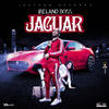 Jaguar - Ireland Boss